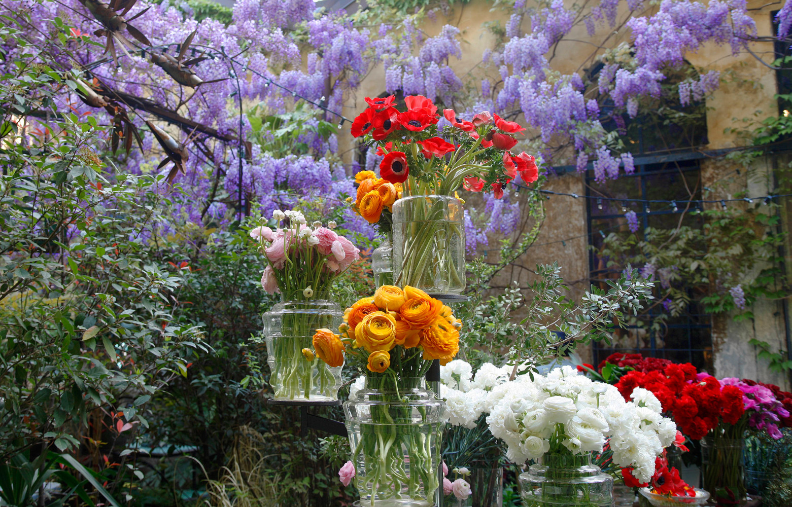 Ah ! Le parfum des roses et le rouge des coquelicots… Et cette glycine en floraison dont...