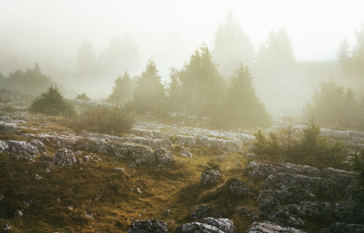 La campagne de publicité du photographe britannique Dan Holdsworth pour Audemars Piguet, partenaire officiel de Gallery Weekend à Berlin.