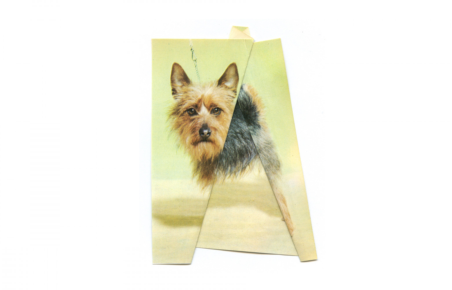 "Untitled (The Levitators, 7)" de Ruth Van Beek (2012-2013).