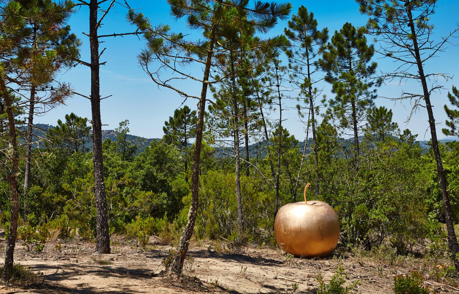 Pomme de New York (2006) de Claude Lalanne