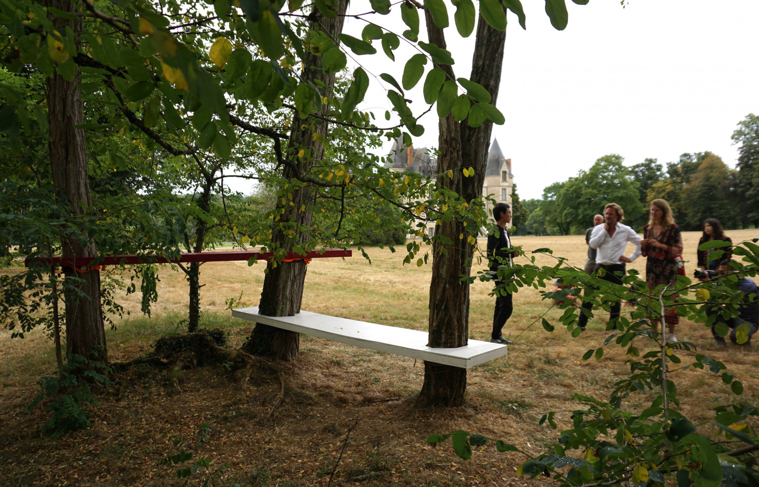 Le bosquet tout proche a lui aussi été investi.