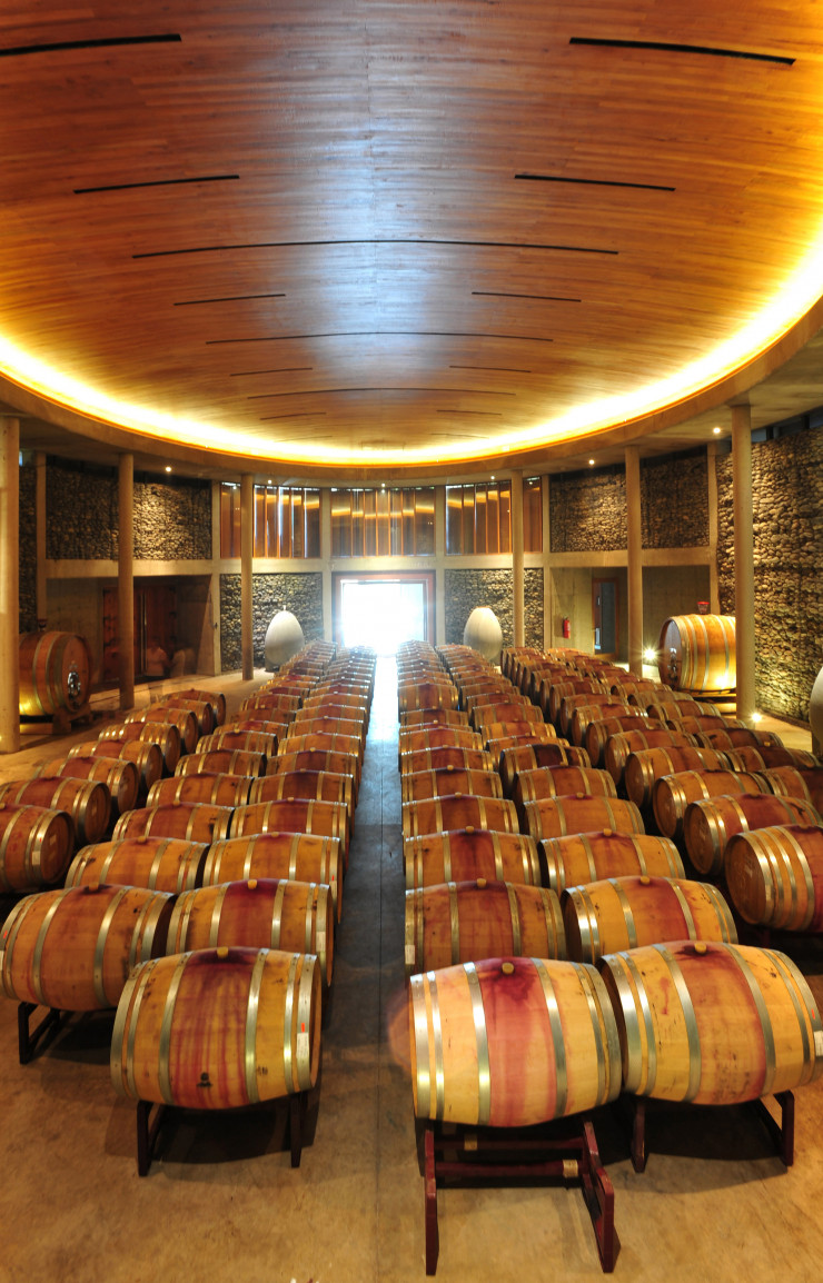 Le chai circulaire de Matetic a été enfoui sous une colline afin que le travail du vin puisse se faire par gravité.