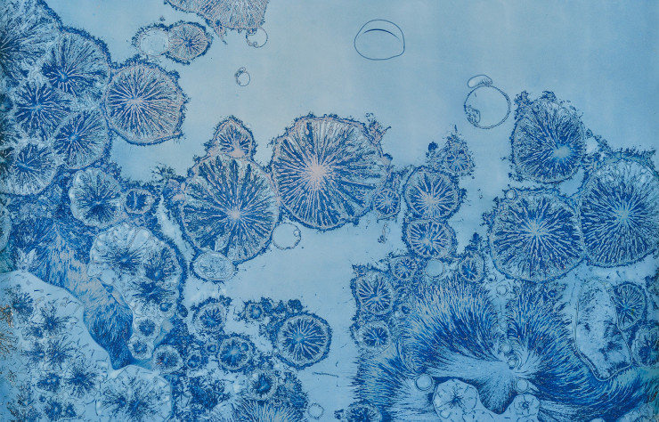 « Matériographie » (années 60) de Jean-Pierre Sudre. Épreuve argentique avec mordançage. 59,7 x 49,7 cm. Galerie Gitterman.