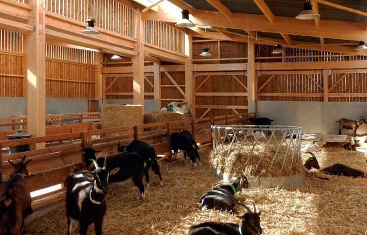 Ferme pédagogique à Rieulay, dans le Nord (2015).