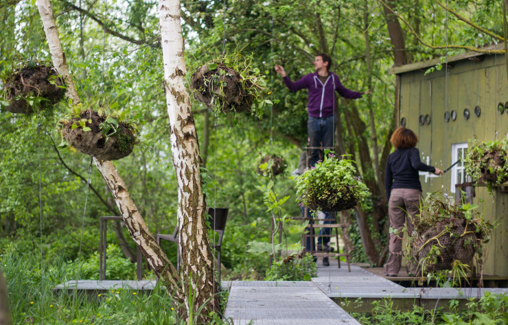 « Fragments », aux Hortillonnages d’Amiens, dans le cadre du festival Art, villes et paysage 2013.
