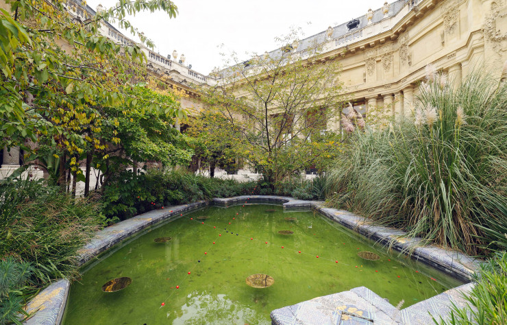 L’installation de Dolla au Petit Palais à l’occasion de la FIAC.
