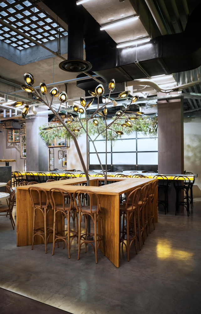 Un comptoir carré en bois bénéficie de l’éclairage du lumineux « 16 Trees » (Bocci).