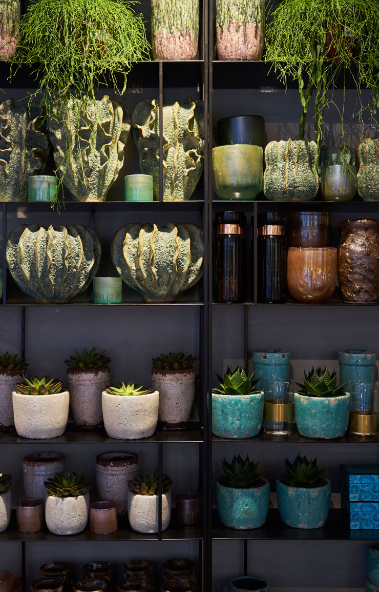 Par la grâce des paysagistes des Mauvaises Graines, la verdure a trouvé toute sa place dans cette nouvelle boutique en plein coeur du VIe.