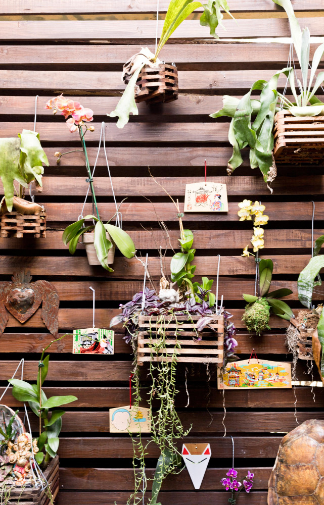 Collection de plaques votives japonaises appelées « ema », que l’on trouve dans les sanctuaires shinto et...