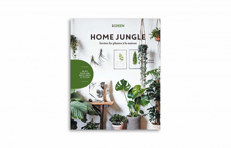 « Home Jungle », de Sonia Lucano.