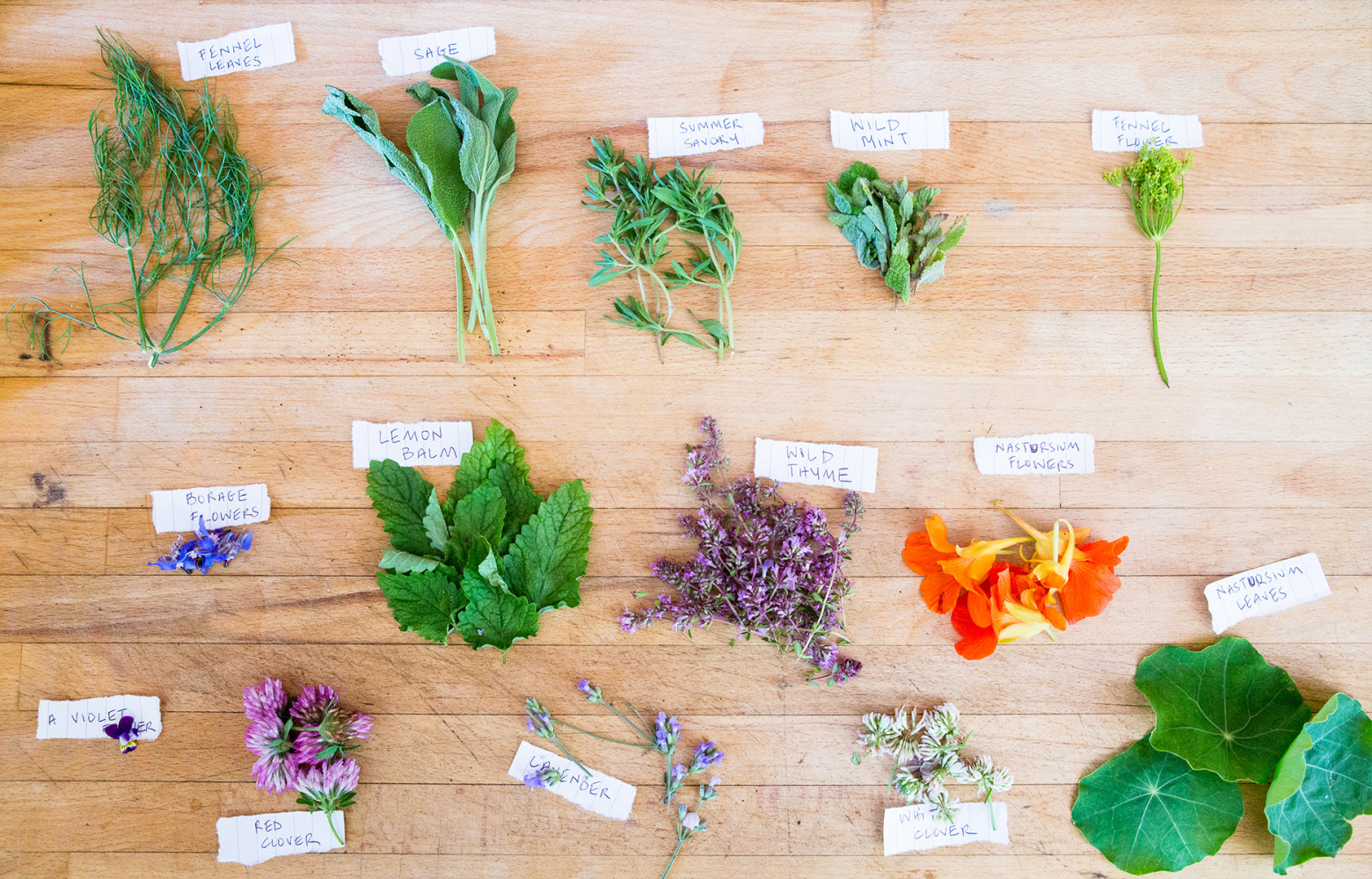 Quoi de mieux que les plantes pour concocter des mélanges à l'infini ? L'atelier a eu à...