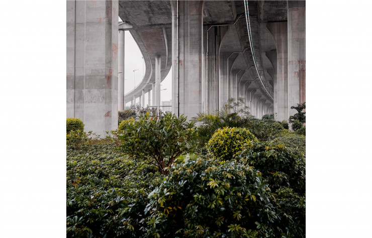 Sous le pont autoroutier a été plantée une véritable jungle.
