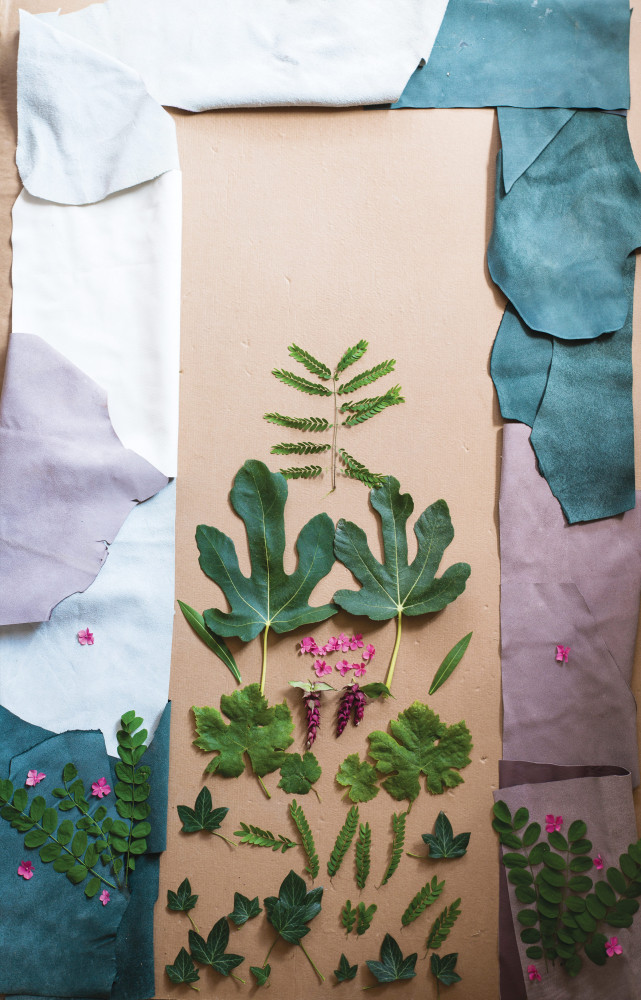 Les apprentis décorateurs ont déniché des herbes et des fleurs sur le domaine, futurs éléments de décor...