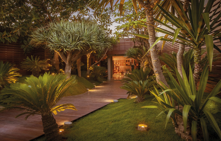 Pour accéder au restaurant, les visiteurs doivent emprunter un passage sinueux entre les dragonniers.