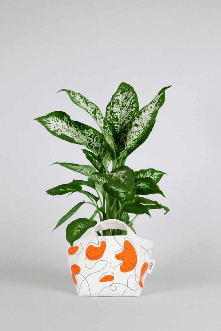 Les végétaux de Plantes et moi participent activement à l’amélioration de la qualité de l’air… et à votre bonne humeur !
