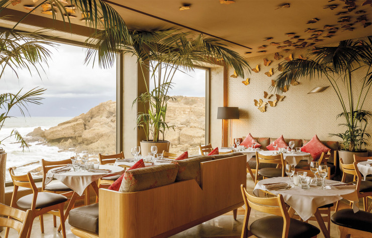 La salle des papillons