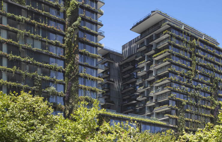 250 espèces de plantes et fleurs australiennes composent la façade.