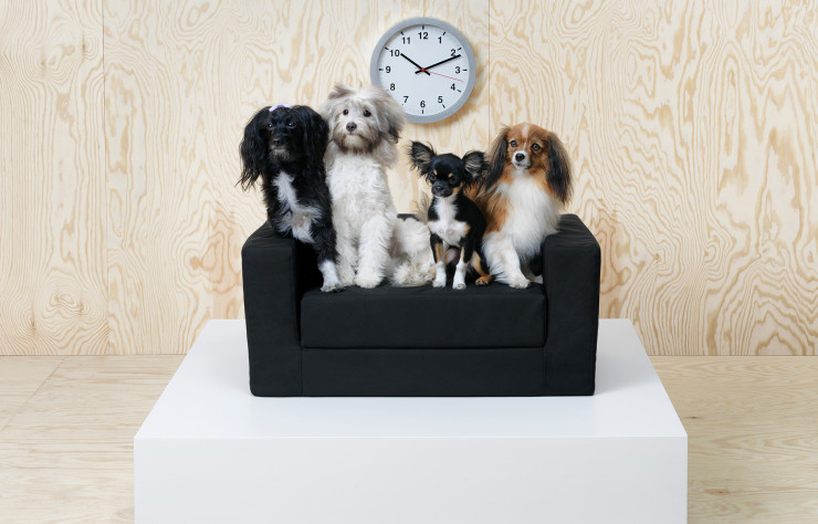 Le lit « Lurvig » (IKEA), à installer au coin du canapé. 59,99 €.