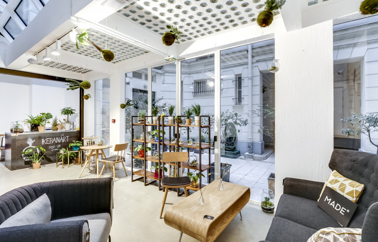 Dans le showroom parisien de Made…