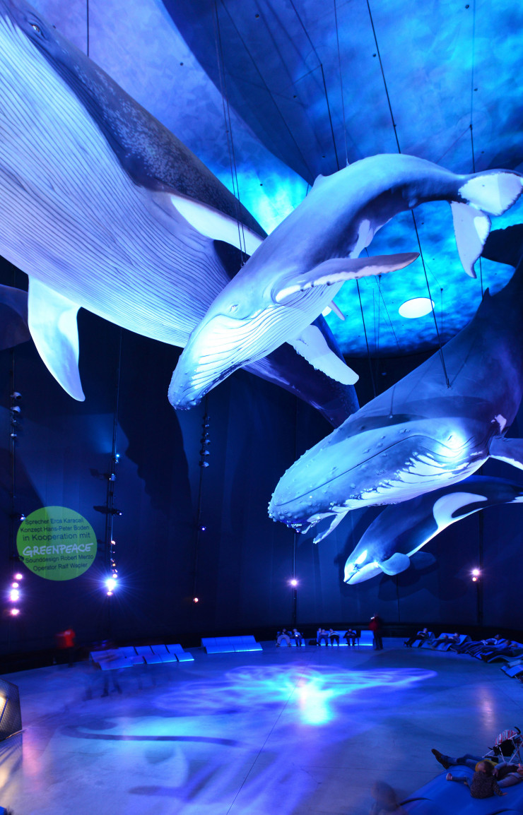 La salle des cétacés de l’Ozeaneum, le plus grand musée d’Allemagne consacré à la mer.