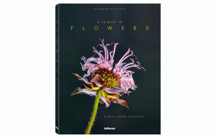 Atributetoflowers