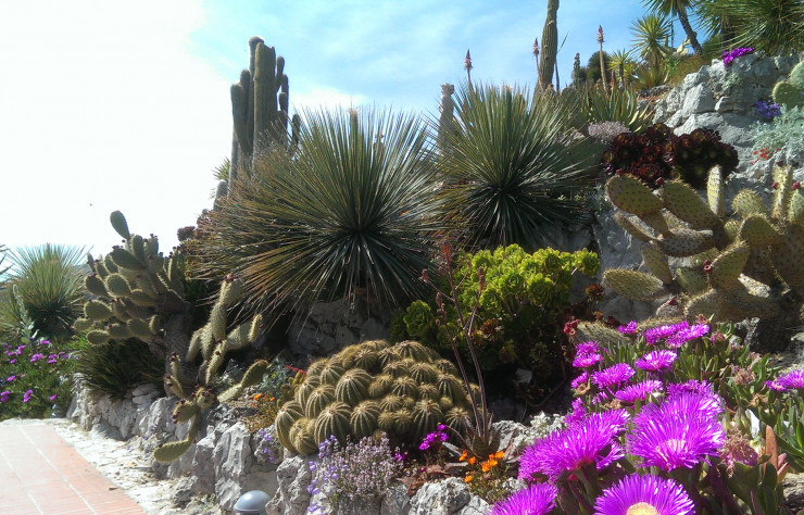 Un paradis pour les amateurs de végétaux extraordinaires.