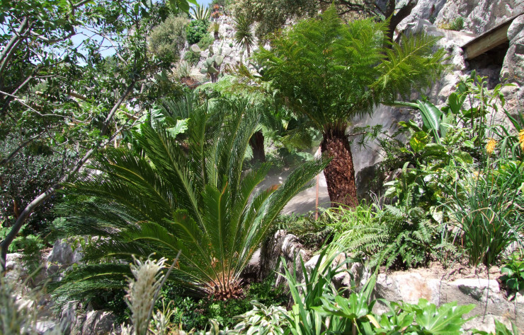 Le Jardin d’Eze propose un voyage hautement exotique.