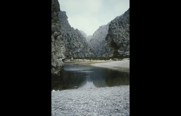« Crique », 1987.