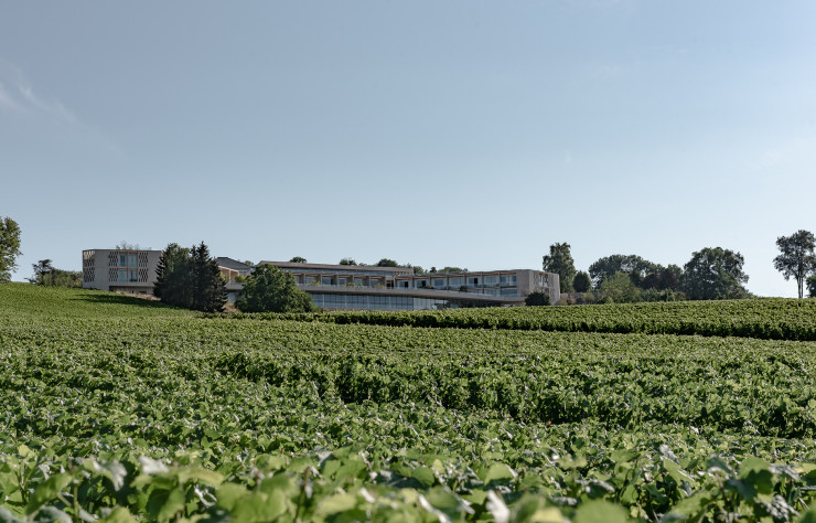 Construit comme un amphithéâtre, l’hôtel se fond dans les vignes.