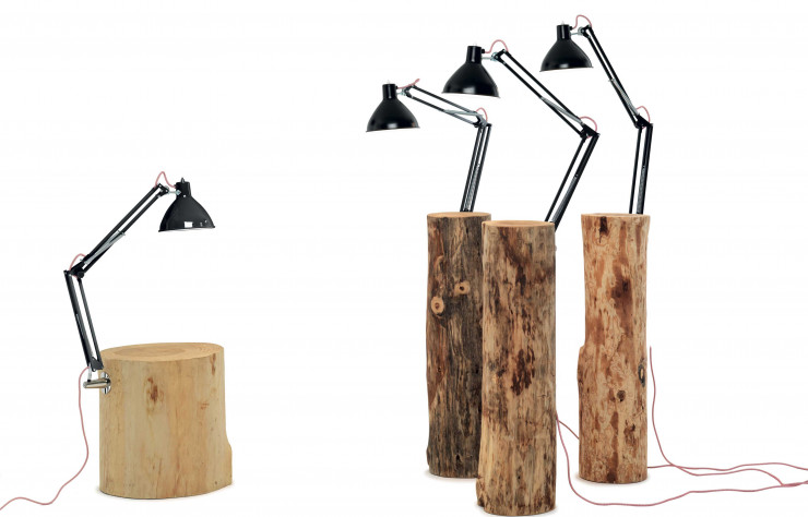 Lampes Piantama.