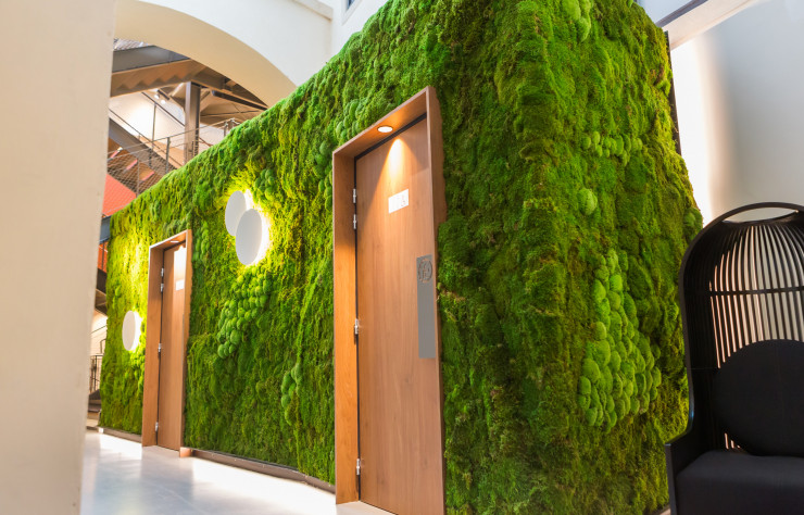 Au détour du couloir, un cube en bois recouvert de mousse stabilisée dissimule les toilettes.