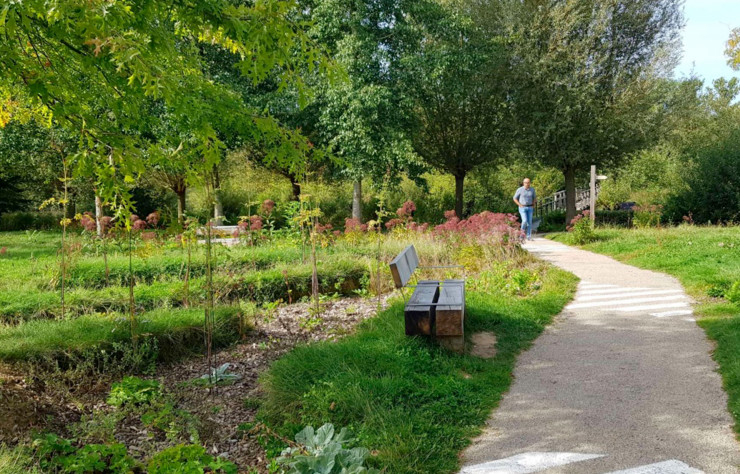 Faille Végétale du parc d’Isle à Saint-Quentin (Aisne).