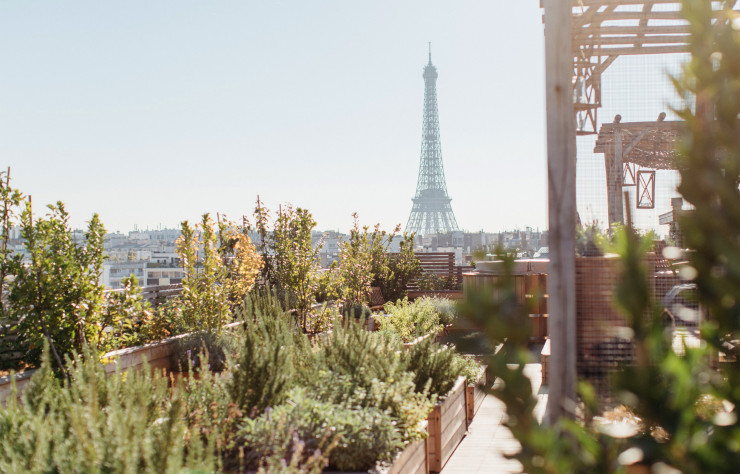 Les hôtes des suites peuvent profiter d’un potager en rooftop, foisonnant d’aromates, de fraises, de tomates à la belle saison…