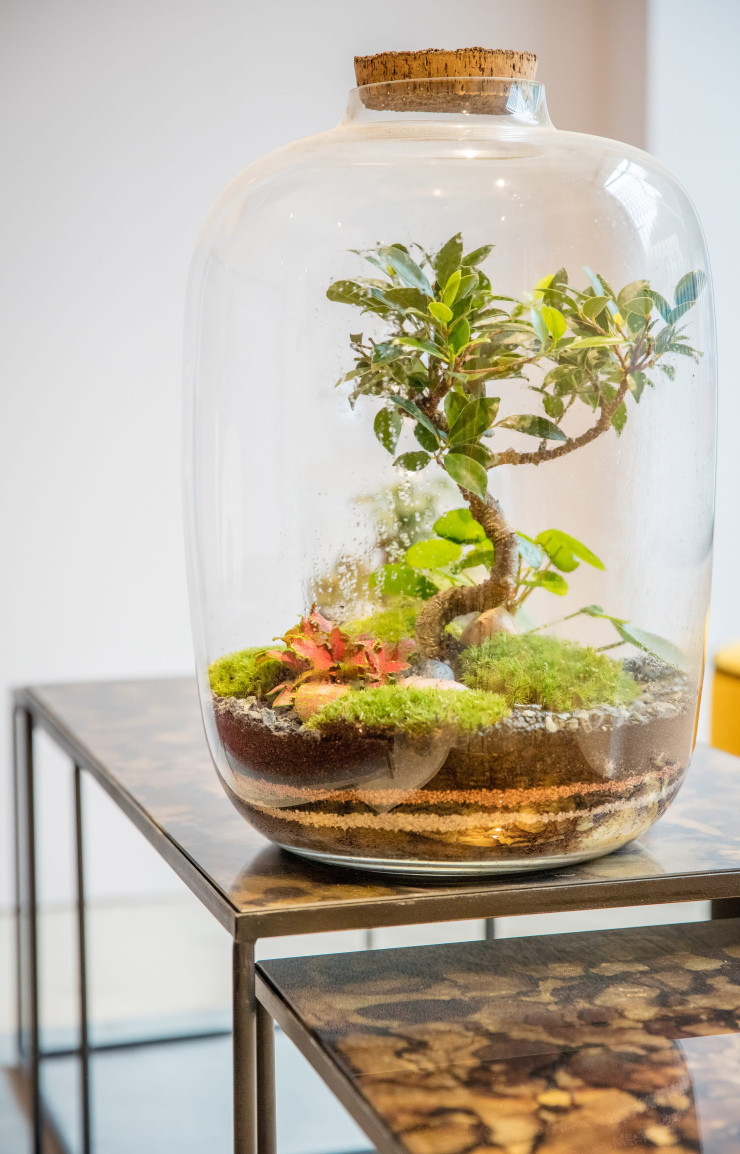 Terrarium Green Factory.