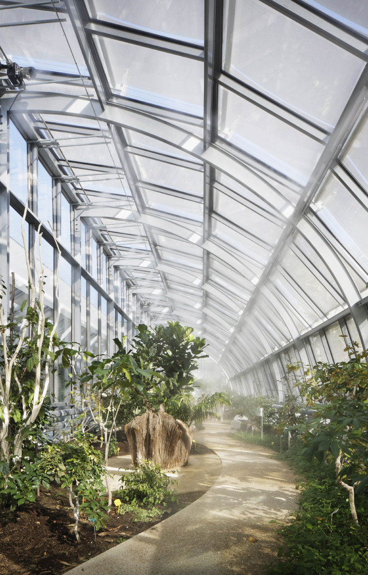 En complément du double vitrage, des stores motorisés participent à la régulation de la température pour garantir un environnement adéquat aux plantes de chaque continent.