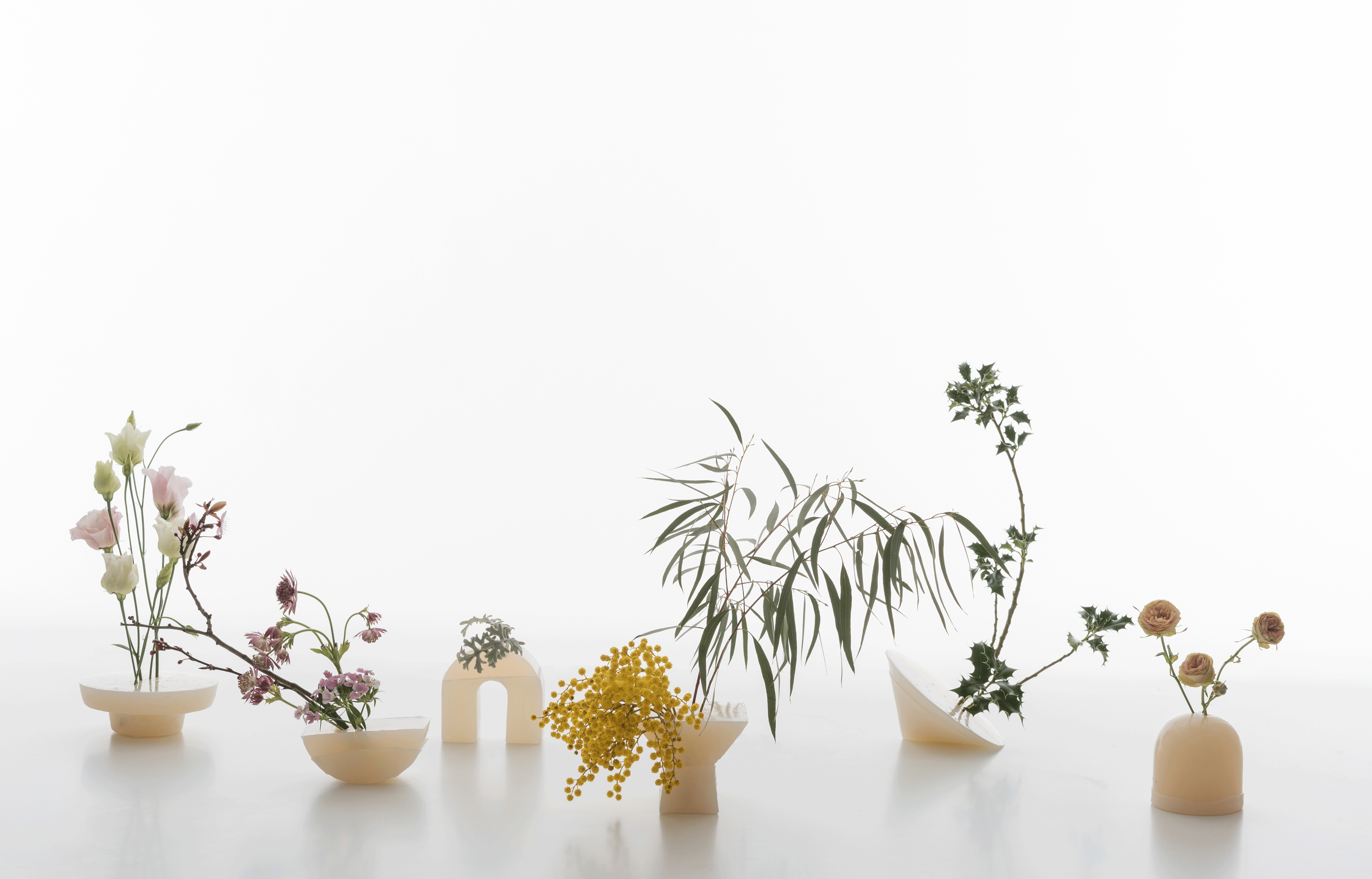 Les projets « Souci » de Violette Vigneron.
