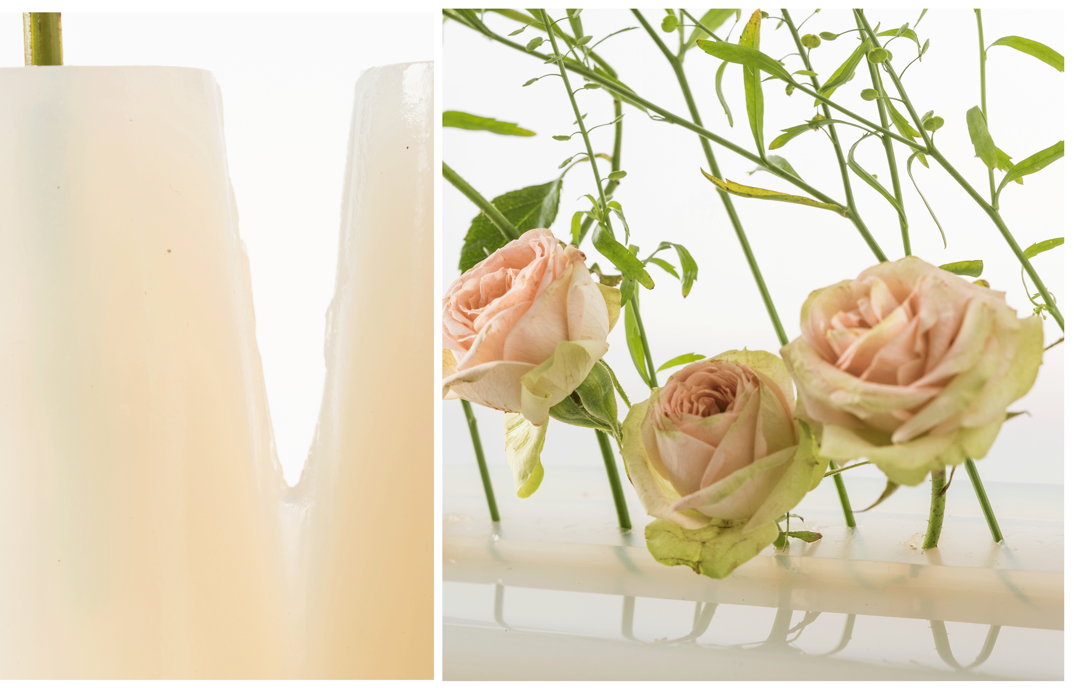 Zoom sur les projets « Souci » de Violette Vigneron.