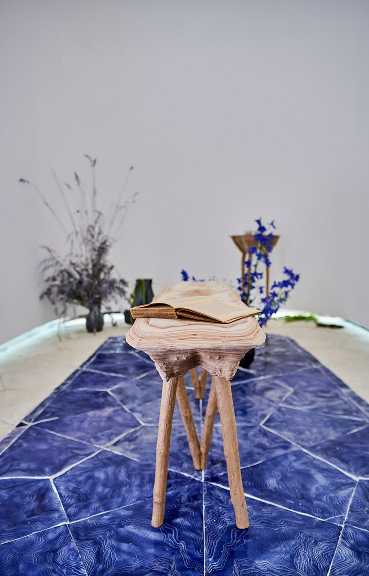« Un jardin d’intérieur », Hugo Drubay.
