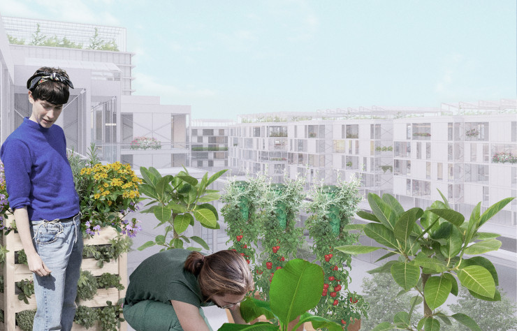 Rehaussée de structures en bois, la structure du centre commercial est appelée à supporter de nouveaux programmes.