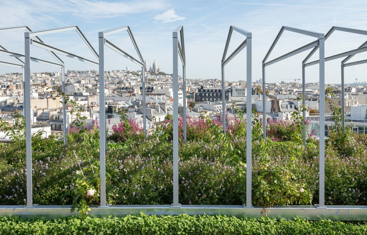 Elaboré et entretenu par les paysagistes de l’agence Mugo, le potager visera à produire des tisanes et infusions à destination de l’ensemble des employés.