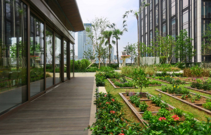 Sur les toits, un potager pédagogique sensibilise les plus jeunes à l’agriculture urbaine.