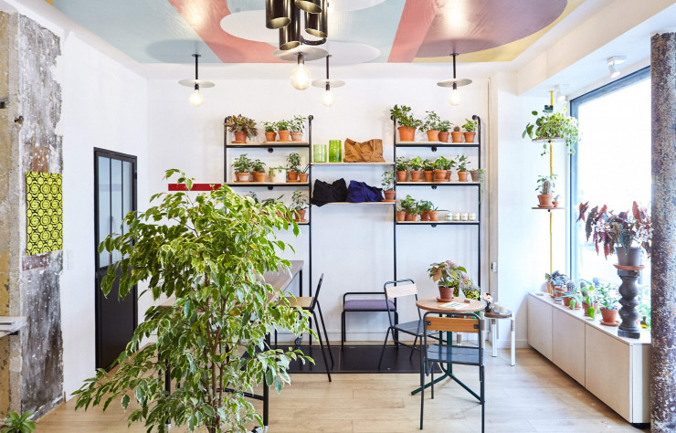 Atelier 9 représente la symbiose de la nature et du mobilier.