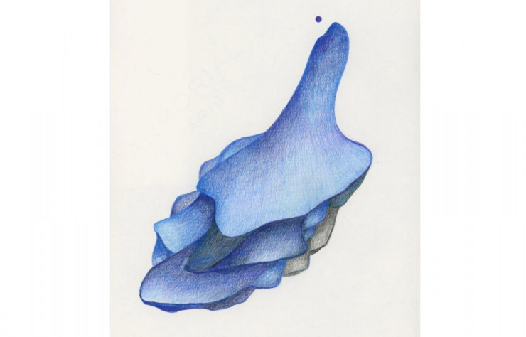 Dessin au crayon de couleur de Constance Guisset.