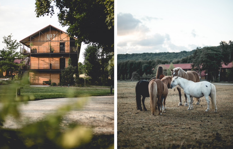 Le Barn hôtel se niche au cœur du haras de la Cense.