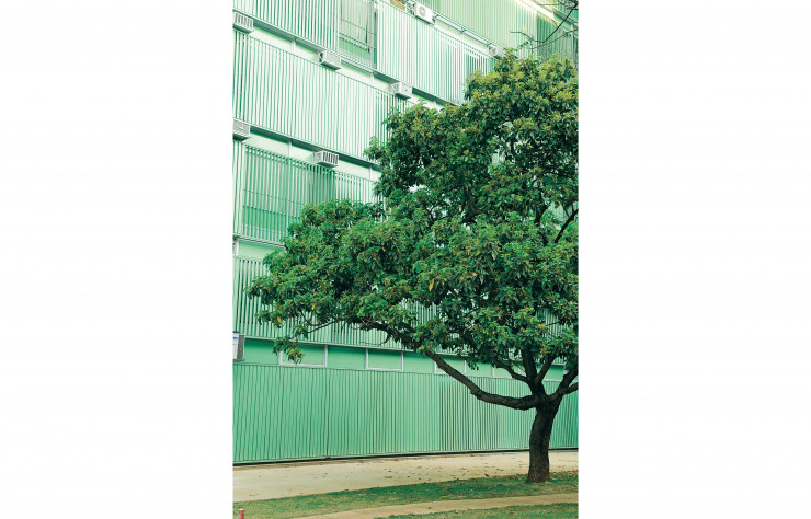 Brasilia affiche un urbanisme tout en contrastes, entre architecture bétonnée et forte présence d’une nature luxuriante et sauvage qui rappelle que la ville fut construite au cœur d’un plateau de savanes.