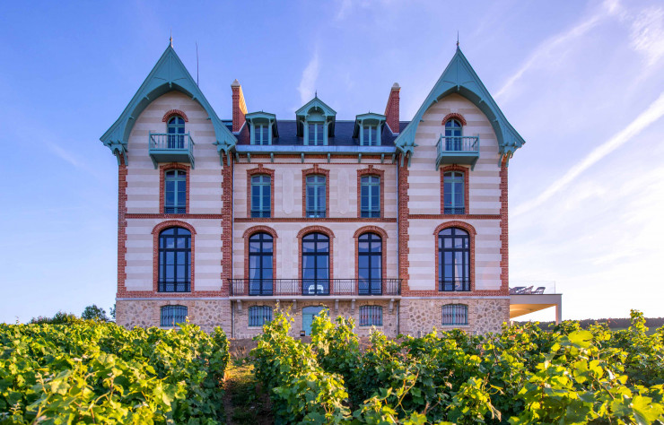 Un château noyé au milieu des vignes.