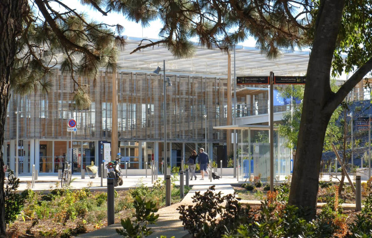 Parmi les 5 hectares de surfaces plantées que compte le projet Nîmes Pont-du-Gard, la présence de nombreux arbres offre un cheminement ombragé aux voyageurs.