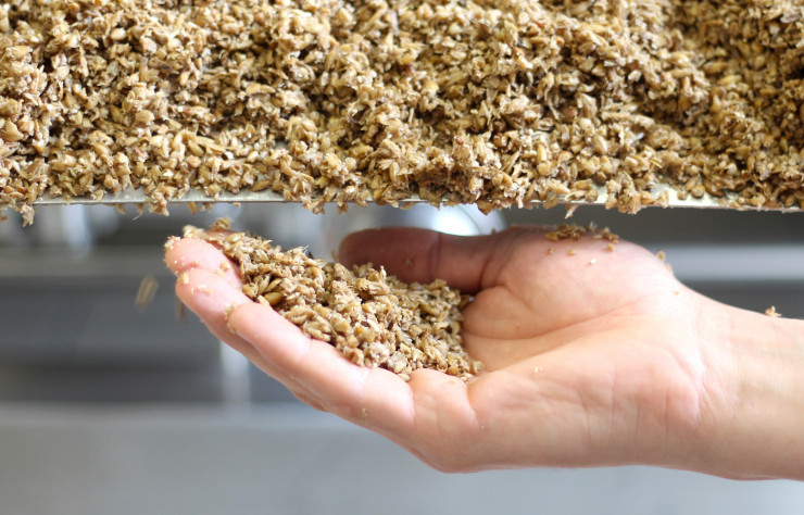 Les drêches, c’est ce qu’il reste des céréales une fois brassées pour faire de la bière.