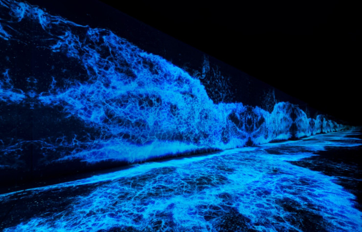 Œuvre de D’strict baptisée « Eternal Nature ».