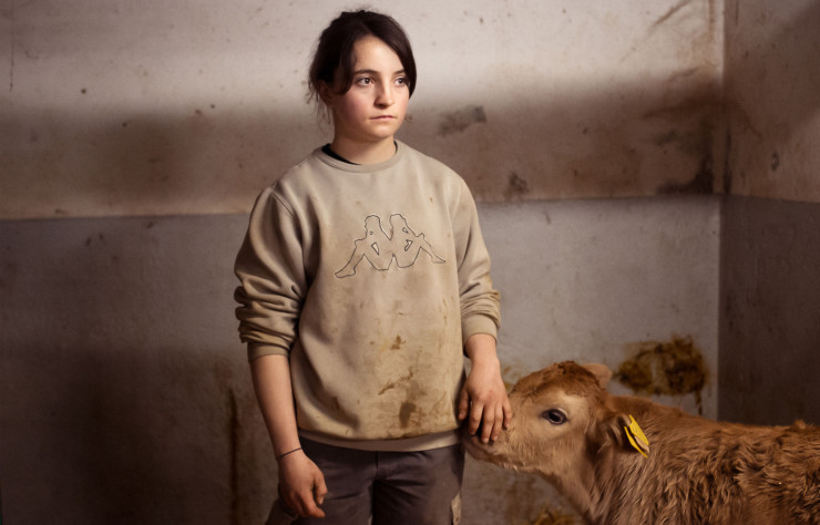 The Last Farmer of Largario, cantondu Tessin, février 2017. Le rapportde l’homme et de l’animal dans l’élevage laitier aujourd’hui.